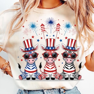 Fuegos artificiales divertidos, cebra, bandera estadounidense, 4 de julio, PNG, cebra patriótica, 4 de julio, PNG, bandera estadounidense preppy, bandera de EE. UU., PNG