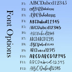 K&ouml;nnte beinhalten: Grafik mit Schriftoptionen, gekennzeichnet mit F1 bis F12, die jeweils den Text "ABCDabcd12345" in einem anderen Schriftstil zeigen. Die Worte "Font Options" sind vertikal auf der linken Seite des Bildes ausgerichtet.