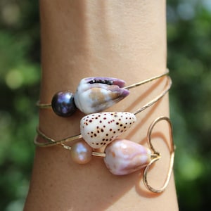 Galaxy Cone Shell 14K Gold Filled 14-Gauge Size 8