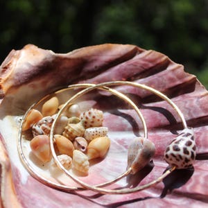 May include: A large, textured seashell holds a collection of small seashells and two gold hoop earrings. One earring features a spotted shell charm. The shell is a mix of pink, orange, and white.
