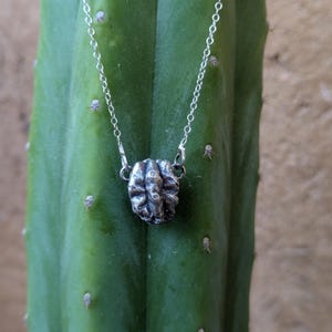 May include: A silver-toned necklace with a textured, organic-shaped pendant. The pendant is suspended from a delicate chain. The necklace is displayed against a green cactus background, creating a contrast of textures and colors.