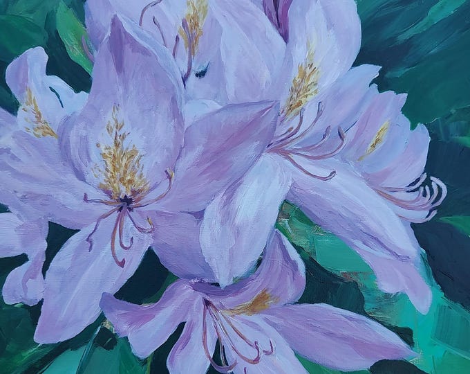 Rhodedendrons