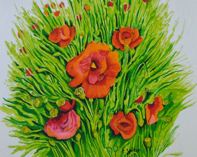 Poppies