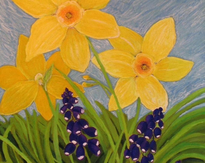 Daffodils