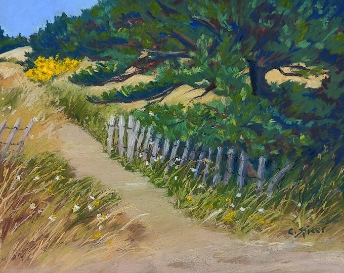 Path at the beach