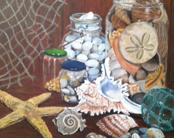 Seashell Collection