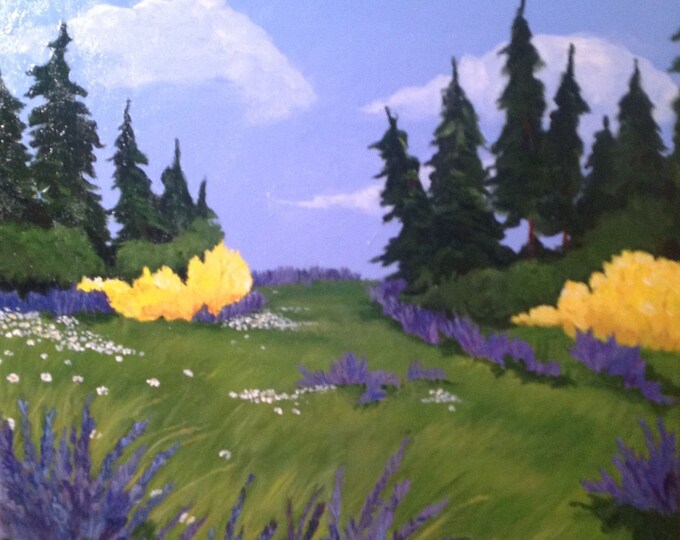 Lupines in May #4