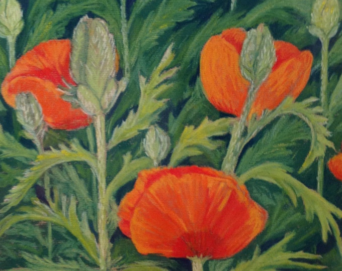 Poppies