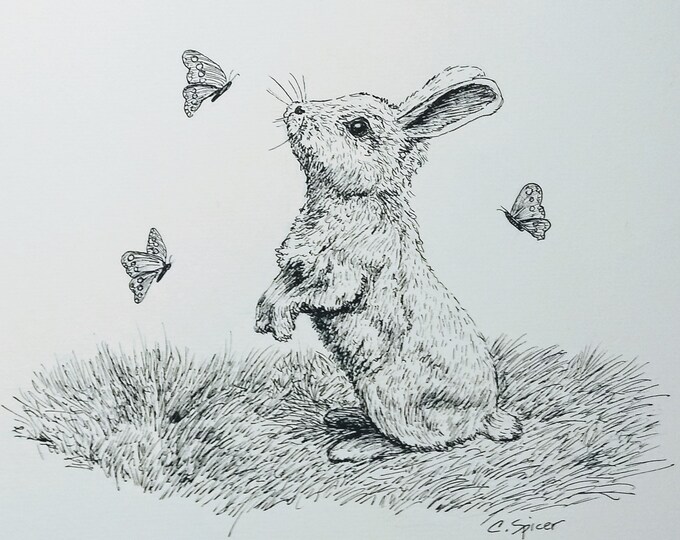 Bunny and Butterflies