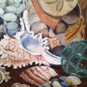 Seashell Collection | Etsy