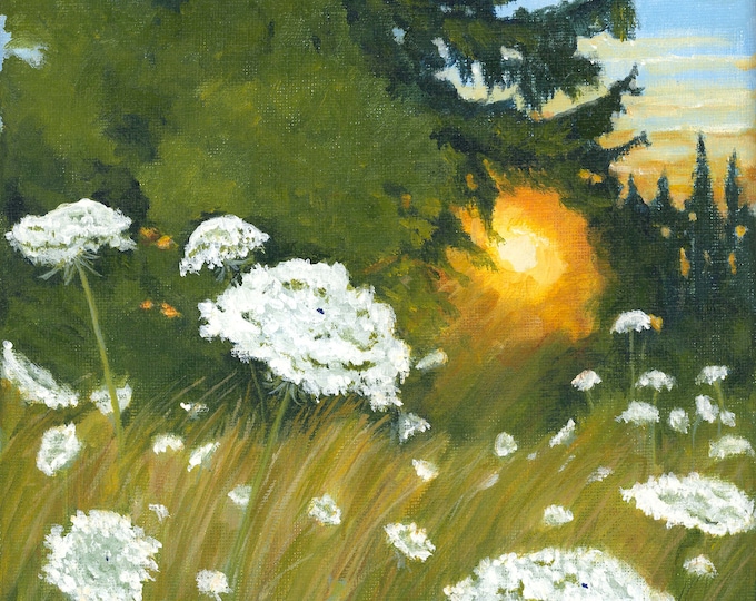 Sunset and Queen Anne's Lace