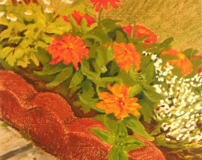 zinnias