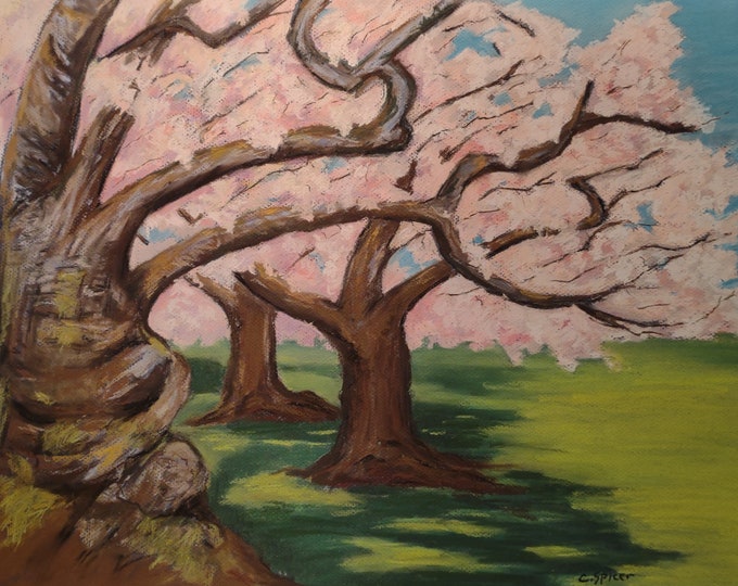 Cherry Trees, impression