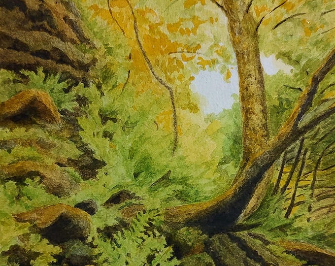 While Walking a Forest Trail