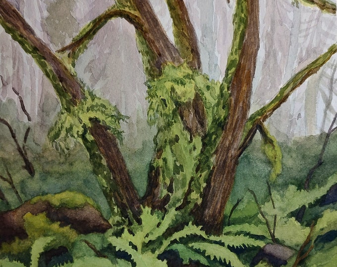 Fern and Moss, watercolor