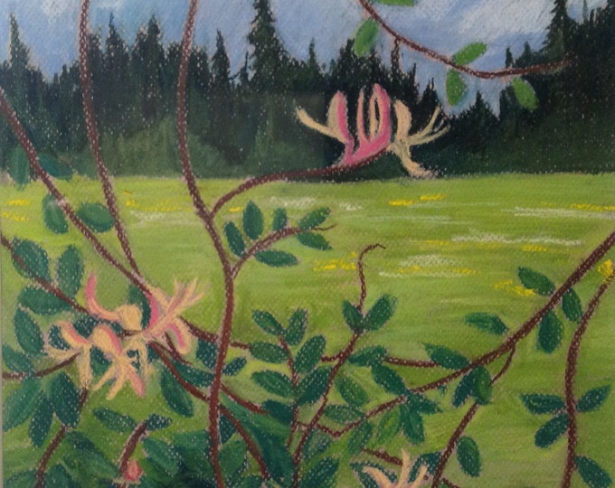 Honeysuckle