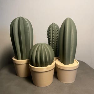 Cactus décoratif en pot - Collection de cactus sculpturaux | Décoration d'intérieur botanique | Design d'intérieur minimaliste