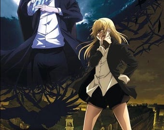 DVD Anime Majo to Yajuu (the Witch and Beast) (1-12 End) English