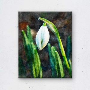 Op de afbeelding: Een close-up van een sneeuwklokje op een canvas print. De witte bloem staat in volle bloei, met een groene stengel en bladeren. De achtergrond is een donker, getextureerd bruin.