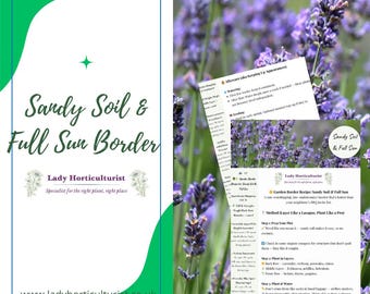 Sandy Soil and Full Sun Border