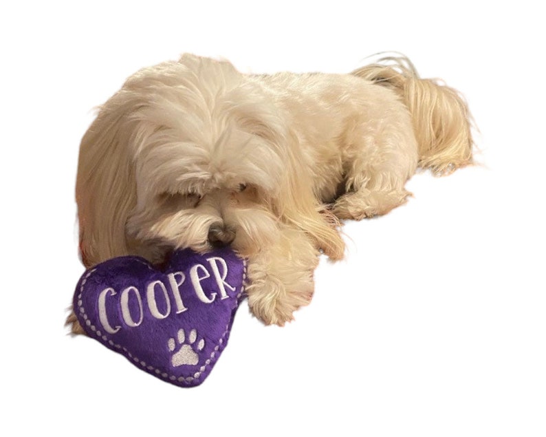 Dog Toy Personalized Heart Pet Toy Heart Shaped Squeaky Valentine's Day image 10