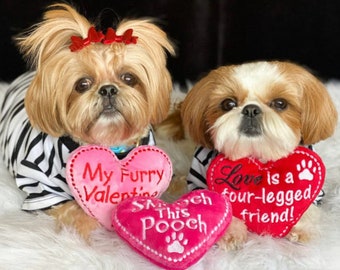 Heart Dog Toy: Minky Plush Stuffie, Valentine&#39;s Gift