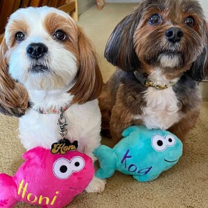 May include: Two small dogs sitting side by side. The dog on the left is white and brown with a collar and a black tag reading Honi, holding a bright pink plush fish toy labeled Honi. The dog on the right is brown and black with a collar, holding a teal plush fish toy labeled Koa.