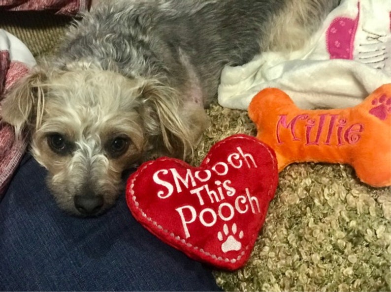 Dog ToyHeart ToyValentines Day Gift for DogsStuffie Etsy