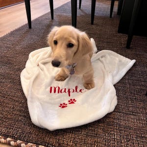 Dog Blanket-Personalized-Embroidered-Paw Prints