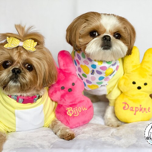Easter Dog Toy Bunny Personalized Stuffed Squeaky Toy Etsy