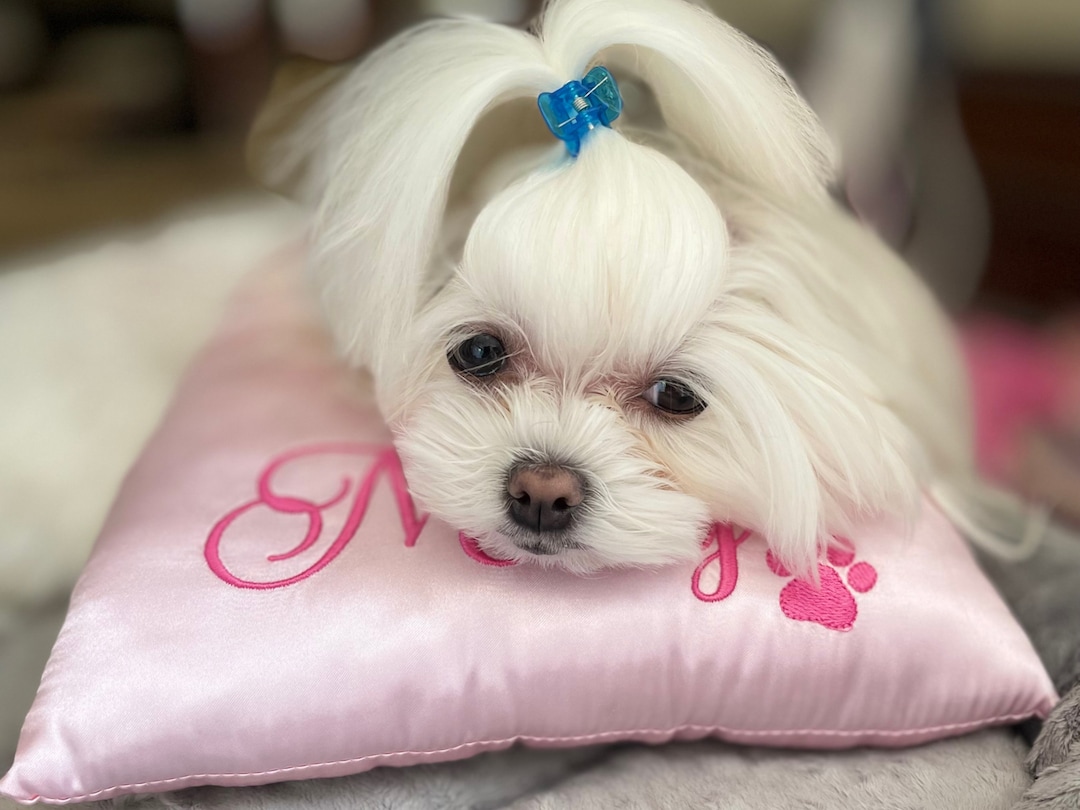 Satin Top Knot Pillowgrooming Pillowwith Paw Print Embroidery