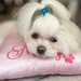 see more listings in the Dog Grooming Pillows section