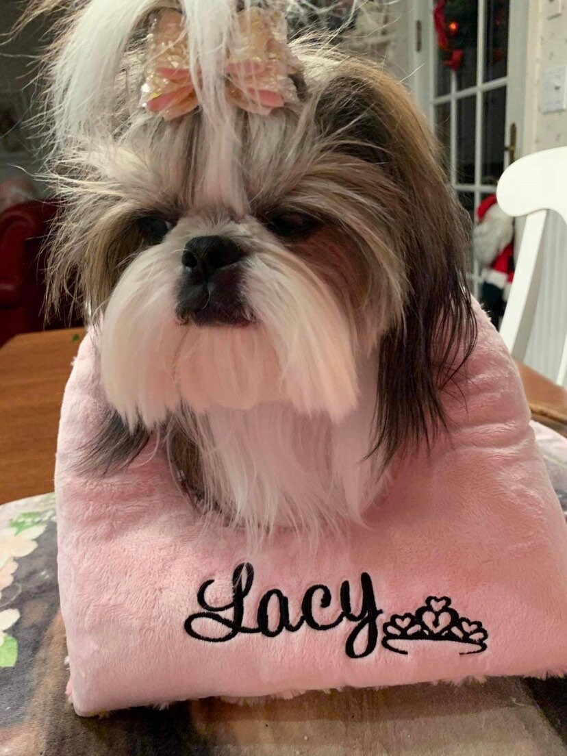 Top Knot PillowGrooming PillowWith Optional Tiara Embroidery Etsy