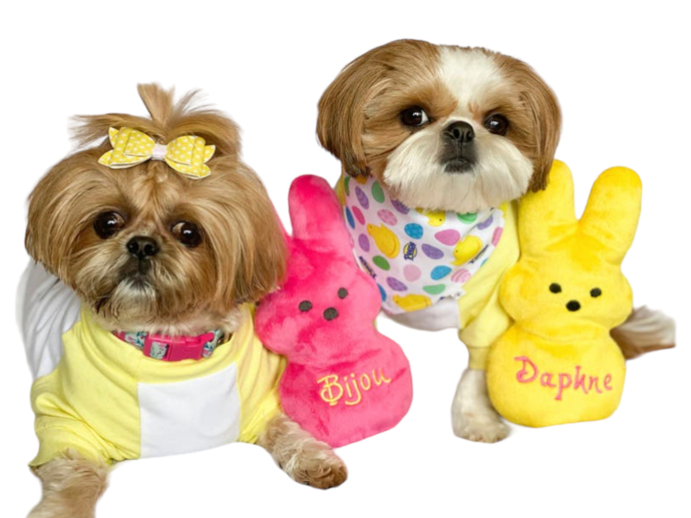 Personalized Marshmallow Easter Bunny Dog Toy