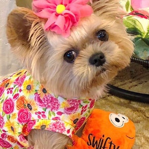 May include: A small tan dog with a pink flower hair accessory and a floral print shirt featuring pink, yellow, and orange blossoms. The dog is positioned next to an orange plush toy with the word Swifty embroidered in black on its side.