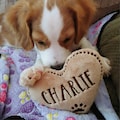 Personalized Heart Dog Toy – Embroidered Name, Squeaky Pet Toy