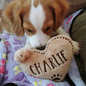 Dog Toy - Personalized Heart - Pet Toy - Heart Shaped - Squeaky - Valentine&#39;s Day