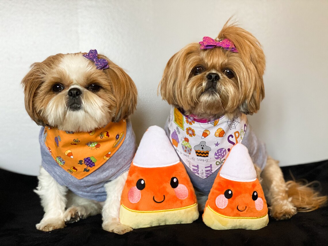 Candy Corn Dog Toy Halloween Dog Toy Plushy Dog Toy Etsy