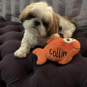 May include: A small, long-haired white and brown Shih Tzu dog lying down next to an orange plush fish toy. The plush toy features large white eyes and the name Collin embroidered in black script on its side, with a soft, textured fabric finish.