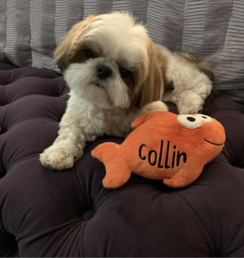 May include: A small, long-haired white and brown Shih Tzu dog lying down next to an orange plush fish toy. The plush toy features large white eyes and the name Collin embroidered in black script on its side, with a soft, textured fabric finish.