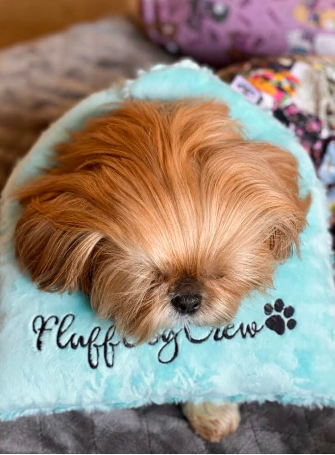 Top Knot Pillowgrooming Pillowwith Paw Print Embroiderypersonalized Etsy