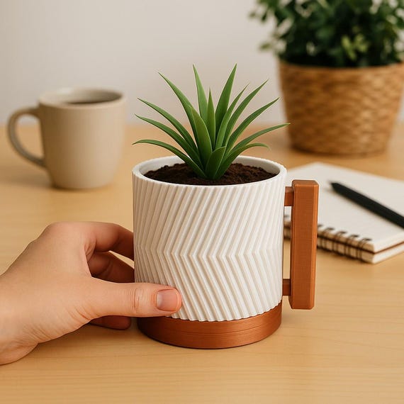 money tree plant size Money Tree | Indoor Plants