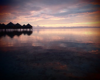 Kissed in Tahiti -- 8x10 Original Signed Fine Art Photograph