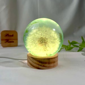 Dandelion Resin Globe Lamp – Real Flower Epoxy Night Light | LED Floral Sphere | Wish Gift | Nature-Inspired Home Decor