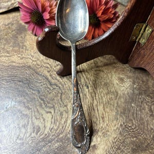Puede incluir: Una cuchara de metal plateado con un patrón floral en relieve en el mango. El mango se transforma en un tallo trenzado que conduce a una cabeza ovalada y lisa. La superficie metálica muestra signos de deslustre y pátina natural.