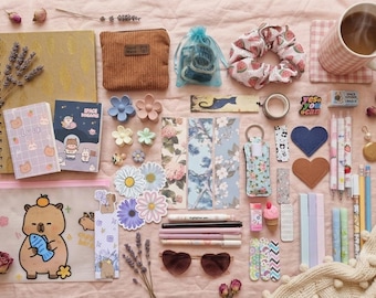 Stationery Bundle - Birthday gift Lucky Scoops  – Self-Care items included- Mystery rare items!
