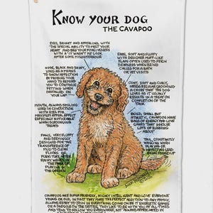 May include: A white tea towel featuring a brown Cavapoo dog illustration with text titled Know Your Dog The Cavapoo. The design includes descriptive labels for the dog's eyes, ears, nose, coat, mouth, build, paws, and tail, with a summary paragraph.