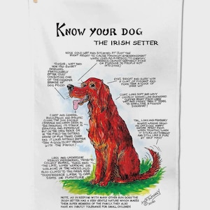 May include: A white tea towel featuring a colourful illustration of an Irish Setter dog. The text reads Know your dog The Irish Setter, with various descriptive labels pointing to the dog's features, including its coat, tail, and nose.