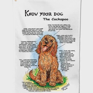 May include: A white tea towel featuring a detailed illustration of a brown Cockapoo dog. The text reads Know your dog The Cockapoo, with various labels describing the dog's features, including nose, eyes, ears, tongue, coat, and tail, by Dick Winney 2020.