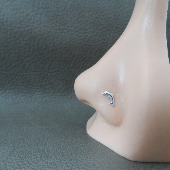 Tiny Dolphin Nose Stud in Sterling Silver Dolphin Nose Stud Silver Fish Nose Stud Fish Nose Stud Tiny Nose Stud Fish Body Jewelry Etsy Canada